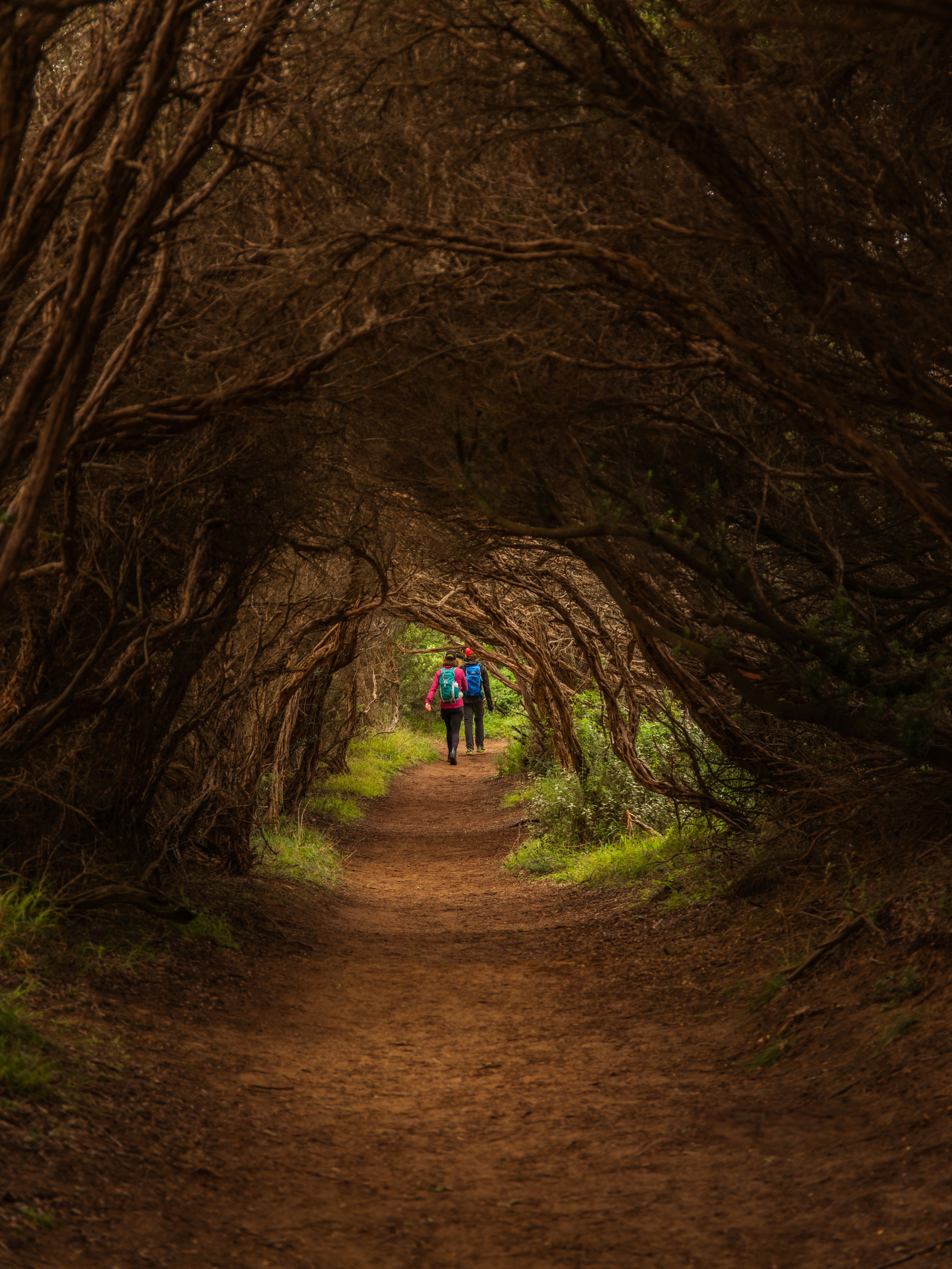 man in blue jacket walking on brown dirt road